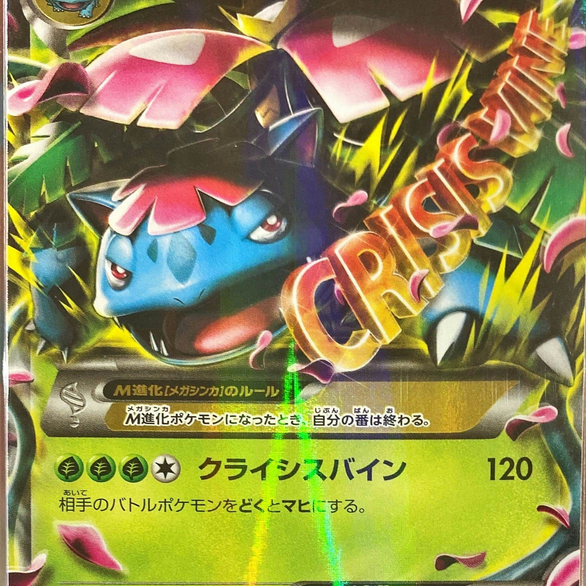 状態B】MフシギバナEX RR (002/060) [XY] の通販・買取価格（ポケモン 
