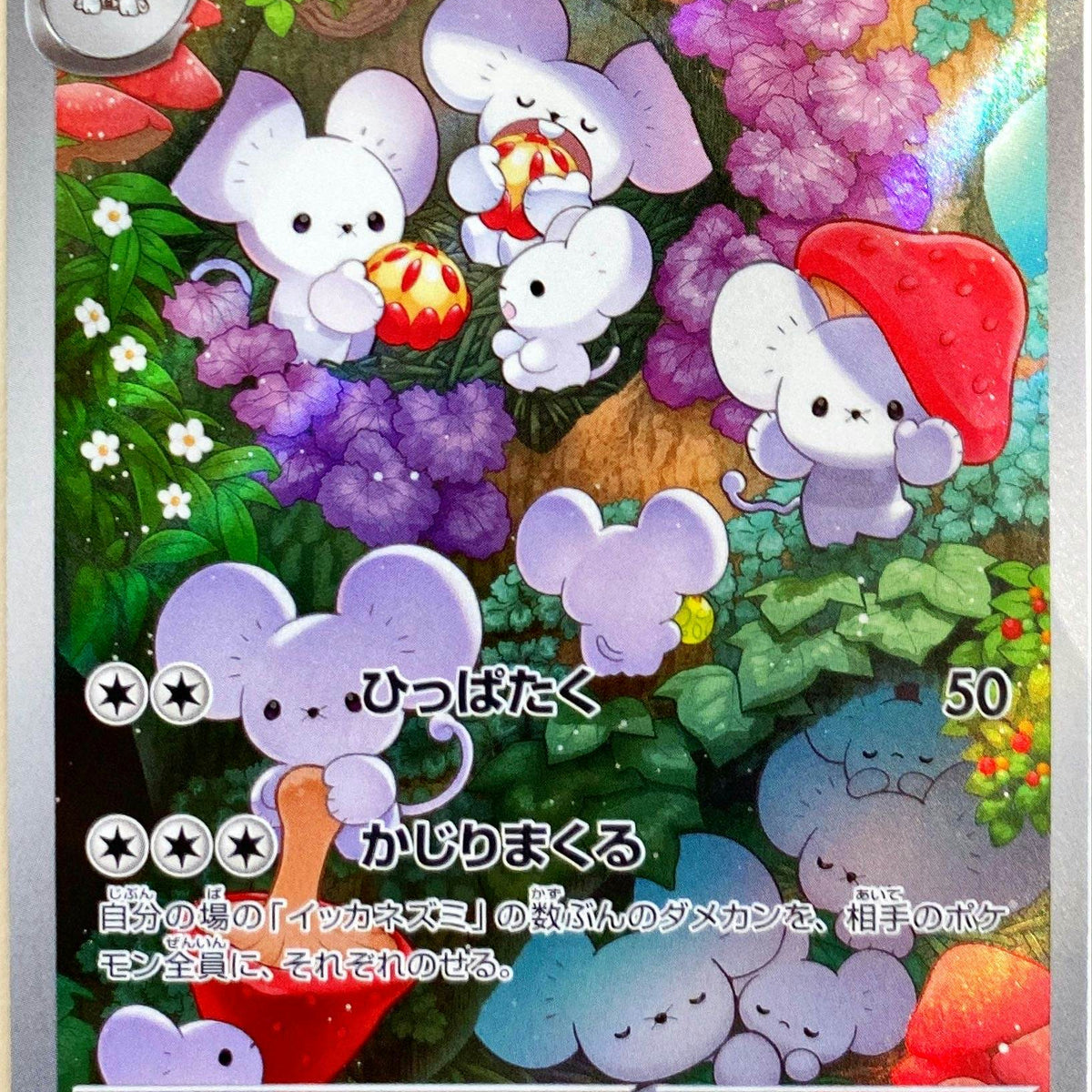 状態A】イッカネズミ AR (081/071) [sv2d] [SALE] の通販・買取価格 