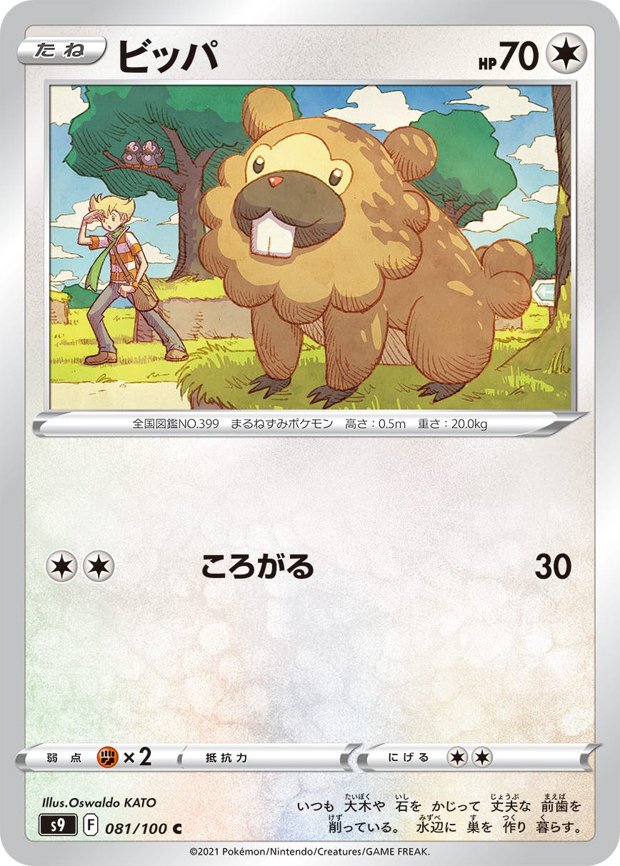 Special Delivery Bidoof 未開封 ビッパ プロモ ポケカ Pokémon Special Delivery Bidoof SWSH177 Black Star Promo