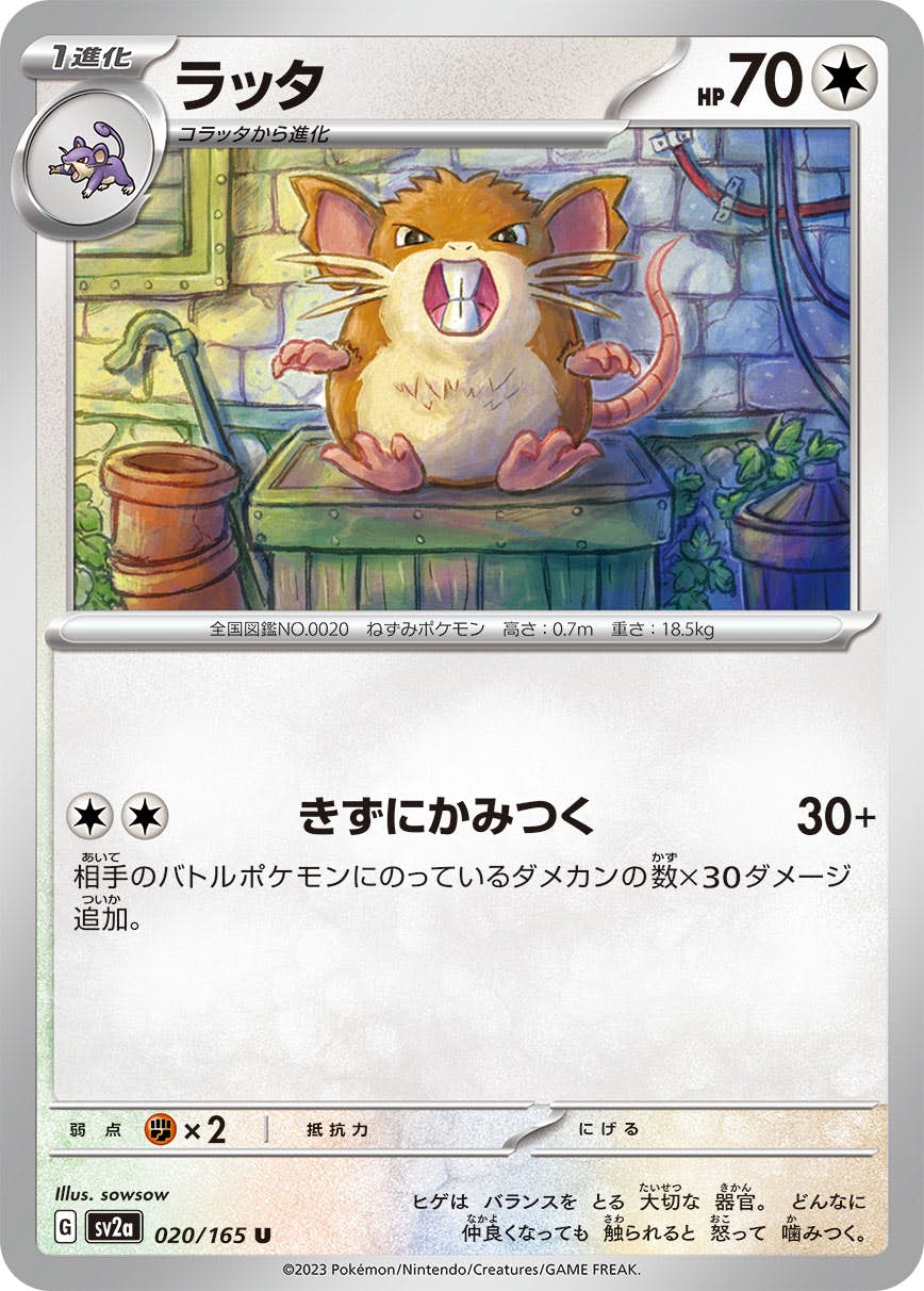 初版　マークなし　コラッタ、ラッタ　2連番 PSA10 PSA10 ラッタ 初版 マークなし 旧裏 旧裏面 NO RARITY SYMBOL