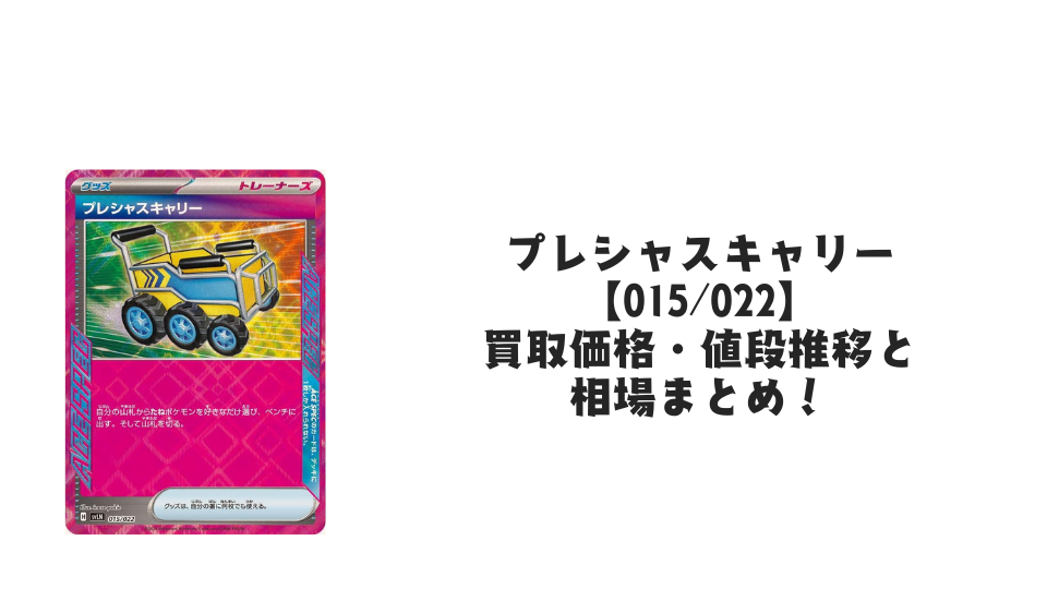 プレシャスキャリー【015/022】