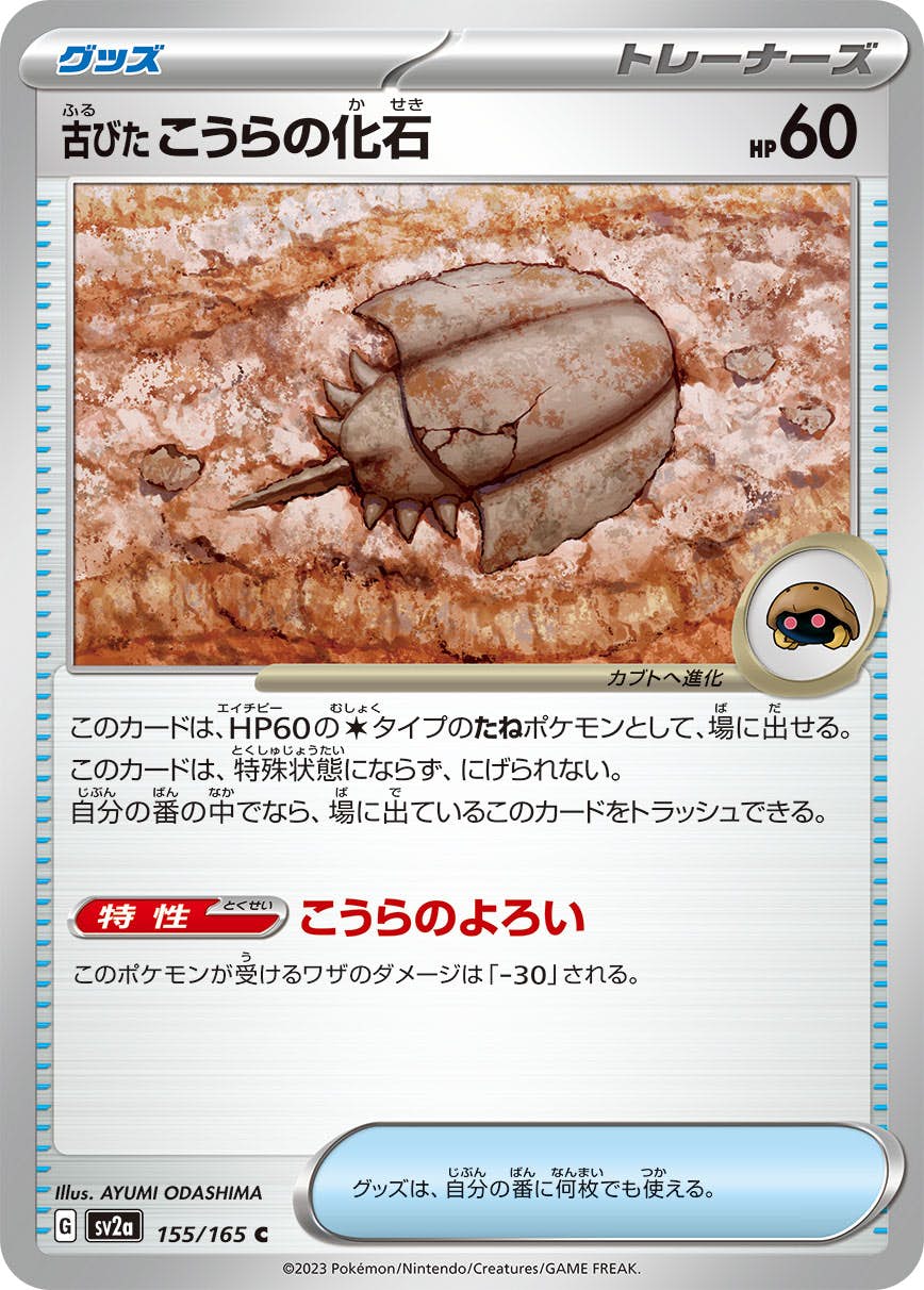 古びたこうらの化石 C (155/165) [SV2A] 