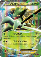 ジュカインEX RR (007/081) [XY7]