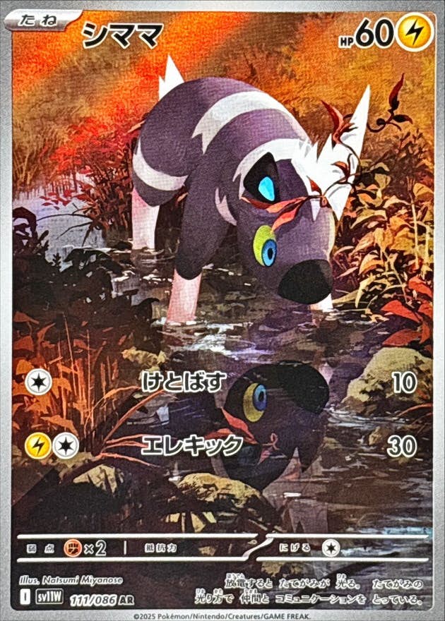 シママ AR (111/086) [SV11W] 