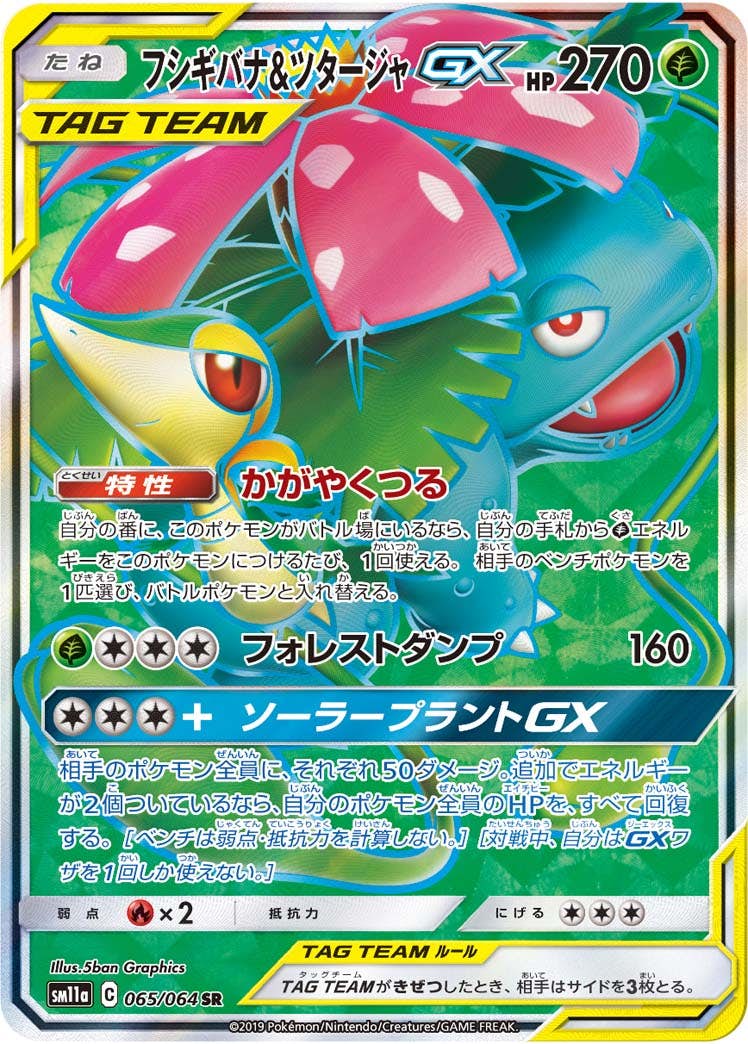 フシギバナ&ツタージャGX SR (065/064) [SM11A] 