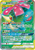 フシギバナ&ツタージャGX SR (065/064) [SM11A]
