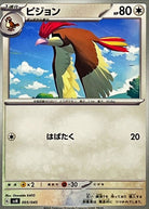 ピジョン(005/045) [SVN] 