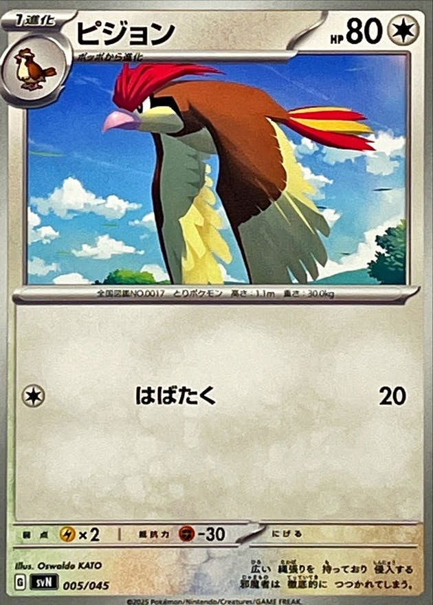 ピジョン(005/045) [SVN] 
