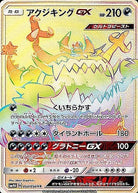アクジキングGX HR (058/050) [JTC] 