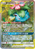 フシギバナ&ツタージャGX SR (066/064) [SM11A] 