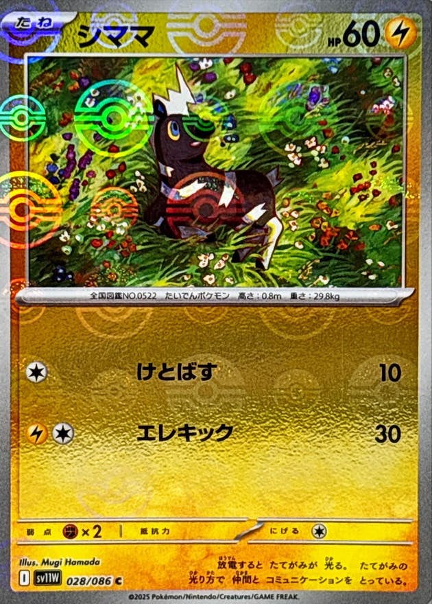 状態A】シママ(モンスターボールミラー) C (028/086) [SV11W] の