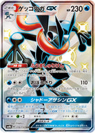 ゲッコウガGX SSR (216/150) [SM8B]