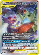 メガヤミラミ&バンギラスGX SR (102/094) [SM11] 