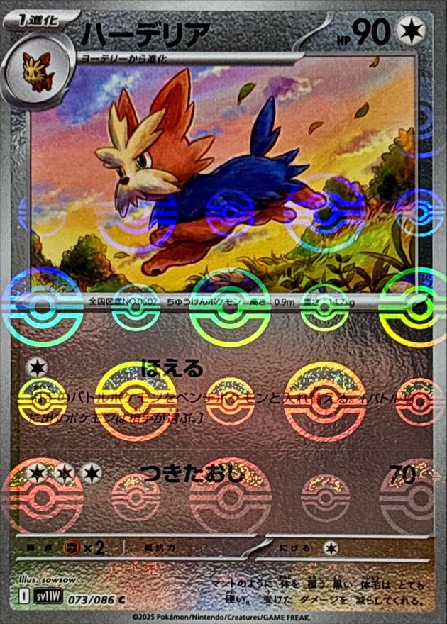 ハーデリア(モンスターボールミラー) C (073/086) [SV11W]
