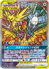 【状態A-】ファイヤー&サンダー&フリーザーGX SR (060/054) [SM10B]