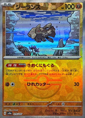 ジーランス　さん　専用　3点 3点 サンスター チェーン＆スプロケット 3点セット カワサキ ZX-4