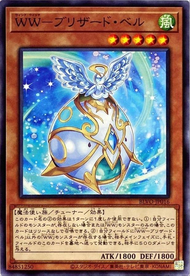 レア/国内育成株　アグラオネマ サンクニ　1株 レア/国内育成株 アグラオネマ サンクニ 1株