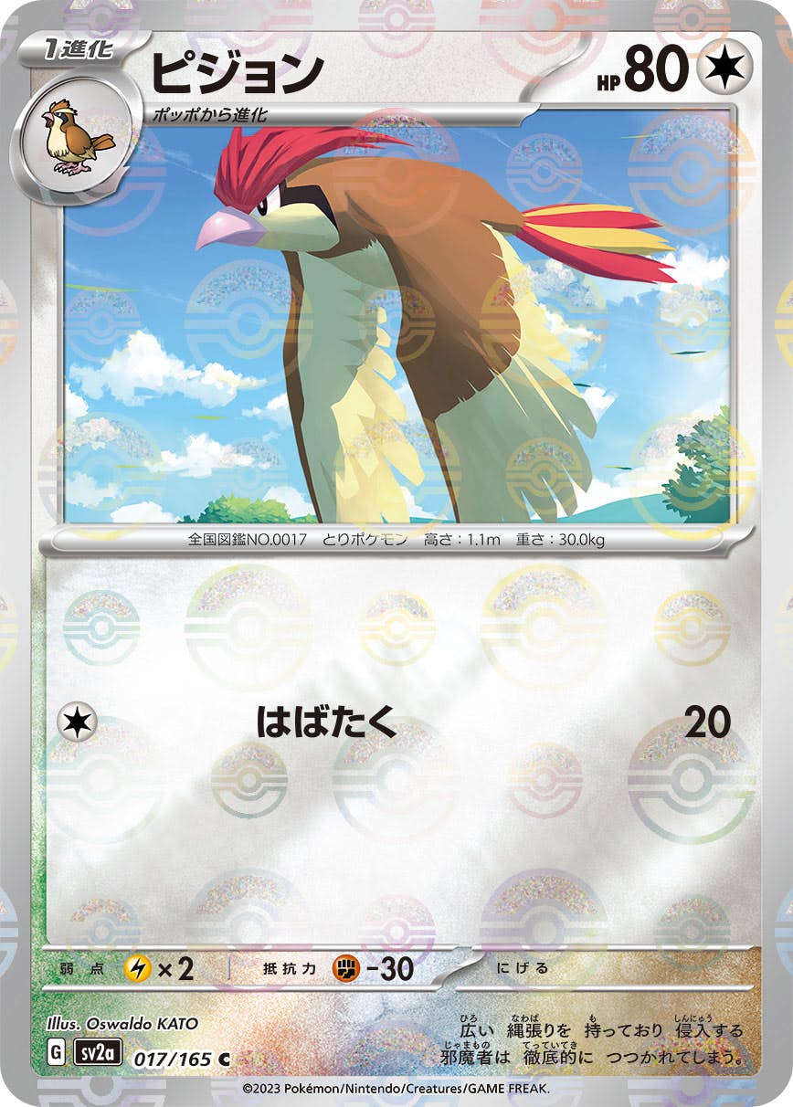 ピジョン 商品一覧（ポケモンカード） – トレカ（TCG）通販・買取なら